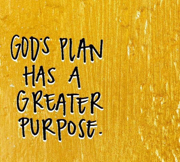 A BEAUTIFUL PORTION OF GOD’S DESIGN!