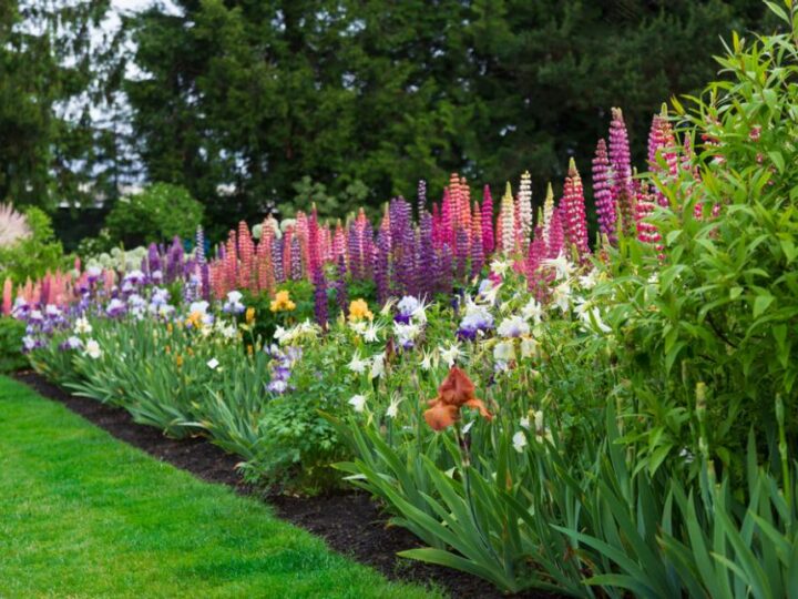 YOUR WORK IS YOUR GARDEN🍁