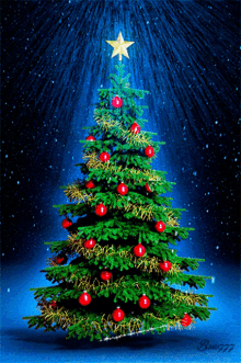 OUR CHRISTMAS LIGHTS…