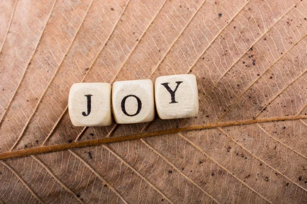CHRISTIAN JOY