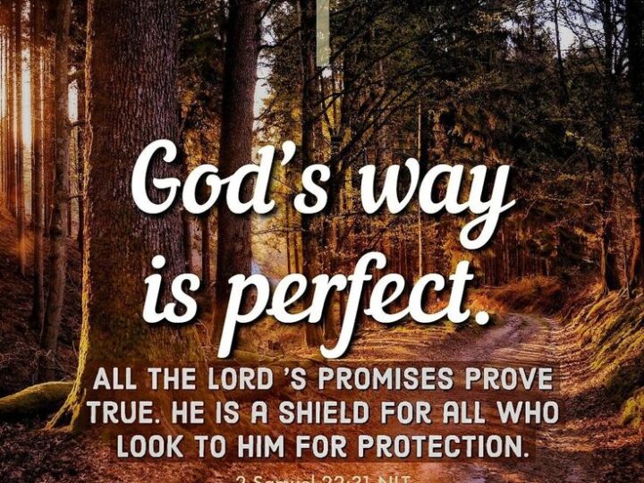 GOD’S PLAN FOR YOU MAY NOT BE WHAT YOU THOUGHT IT WOULD BE