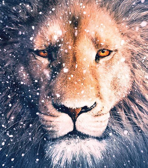 HAPPY NEW YEAR 2026!!